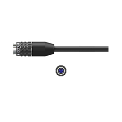 Main C494 image
