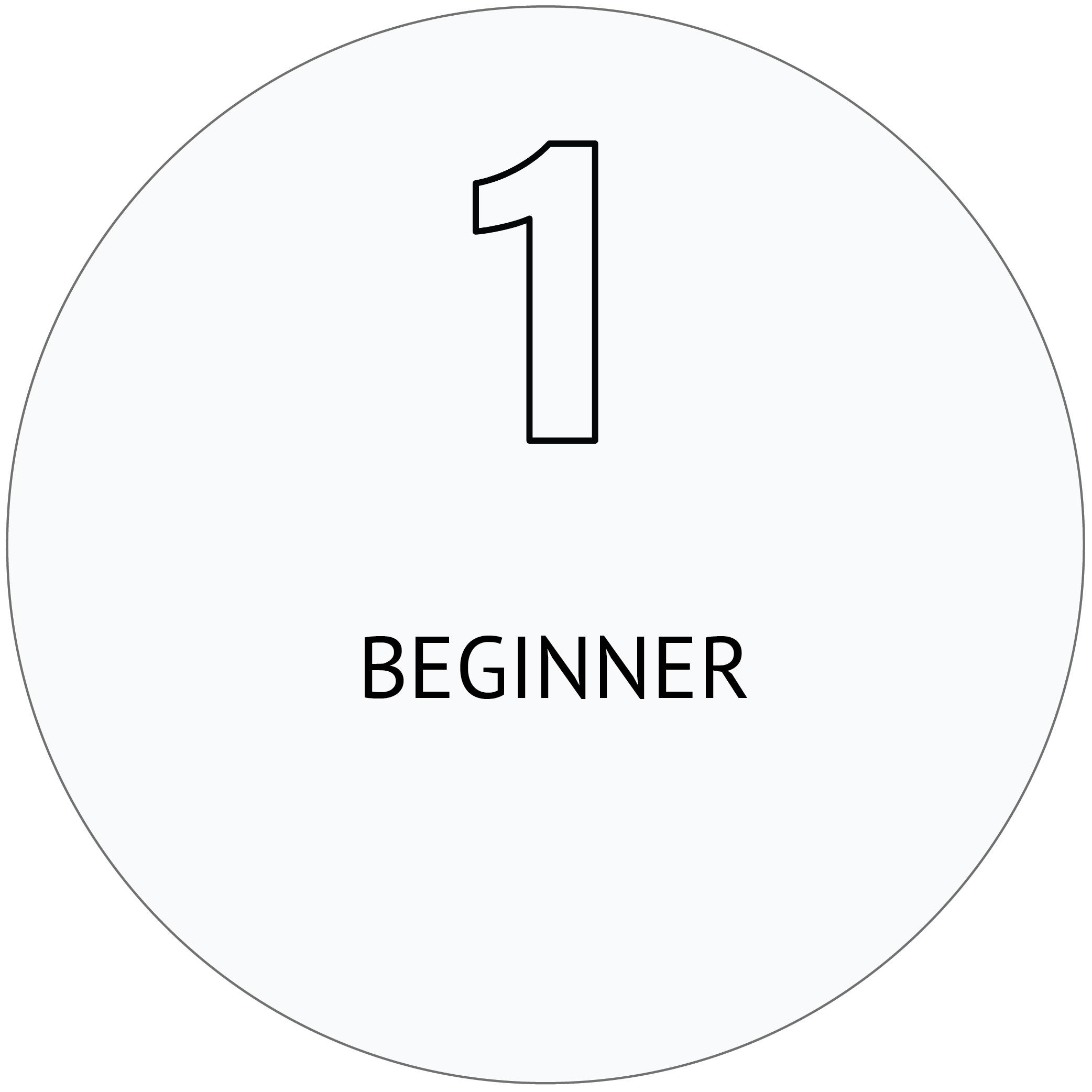 Beginner