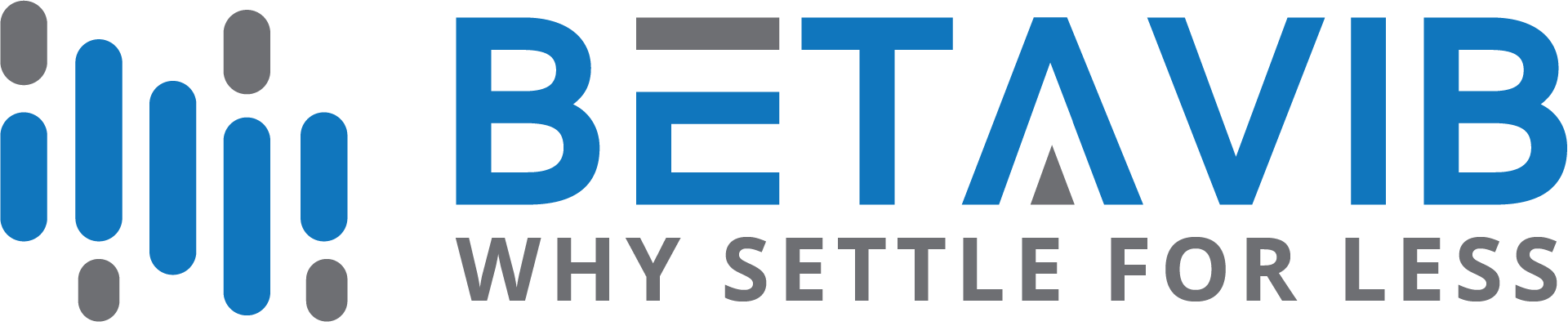 BETAVIB Logo