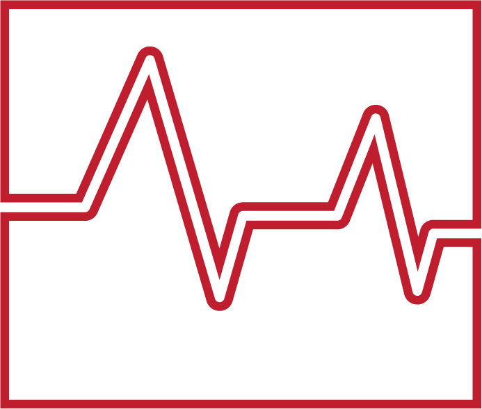 an icon showing a line graph with high and low points, representing precise vibration measurments