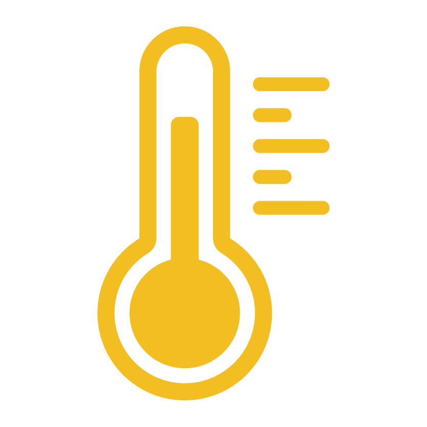 Thermometer Icon